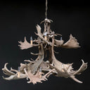 HG 112-A, Kroonluchter van damhert geweien met 8 lampen