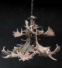 HG 112-A, Kroonluchter van damhert geweien met 8 lampen