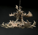 HG 112-A, Kroonluchter van damhert geweien met 8 lampen