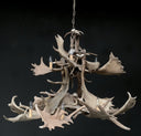 HG 112-A, Kroonluchter van damhert geweien met 8 lampen