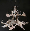HG 112-A, Kroonluchter van damhert geweien met 8 lampen