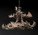 HG 112-A, Kroonluchter van damhert geweien met 8 lampen