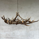 HG 115-C, Edelhert gewei lamp