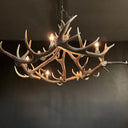 HG 125, Edelhert gewei lamp