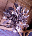 HG 237-C Bol lamp van dam- en edelhertgeweien