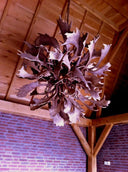 HG 237-C Bol lamp van dam- en edelhertgeweien