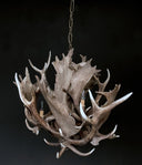 HG 241, Kroonluchter van dam- en edelhertgeweien met 4 lampen, model -Bloem-