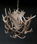 HG 241, Kroonluchter van dam- en edelhertgeweien met 4 lampen, model -Bloem-