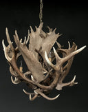 HG 241, Kroonluchter van dam- en edelhertgeweien met 4 lampen, model -Bloem-