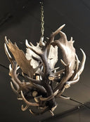 HG 241, Kroonluchter van dam- en edelhertgeweien met 4 lampen, model -Bloem-