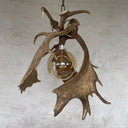 HG 242, Kroonluchter van damhertgewei met globe lamp