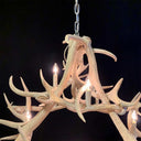 HG 246, Kroonluchter van gebleekt edelhertgewei met 8 lampen