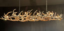 HG 247-A, Kroonluchter van edelhertgewei met 10 lampen en 3 spots