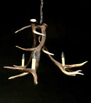 HG 261, Kroonluchter van edelhertgewei met 3 lampen