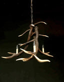 HG 261, Kroonluchter van edelhertgewei met 3 lampen