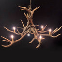 HG 262, Kroonluchter van edelhertgewei met 6 lampen en 2 Spots, model -Ster-