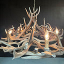 HG 273, Ovale gewei kroonluchter met 8 lampen