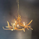 HG 274, Gewei kroonluchter met 6 lampen en 1 spot