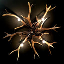 PG 102-B, Plafonnière van edelhertgewei met 4 lampen