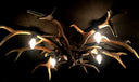 PG 102-B, Plafonnière van edelhertgewei met 4 lampen