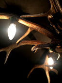 PG 102-B, Plafonnière van edelhertgewei met 4 lampen