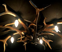 PG 102-B, Plafonnière van edelhertgewei met 4 lampen