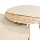 ST 518, Set van 2 salontafels -Diego-