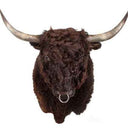 TX 190, Galloway Stier