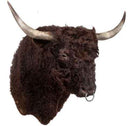 TX 190, Galloway Stier