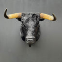 TX 197, Spaanse stier