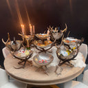 Diverse gewei schalen en champagne koelers