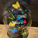 VI 197, Vlinderstolp met gekleurde vlinders