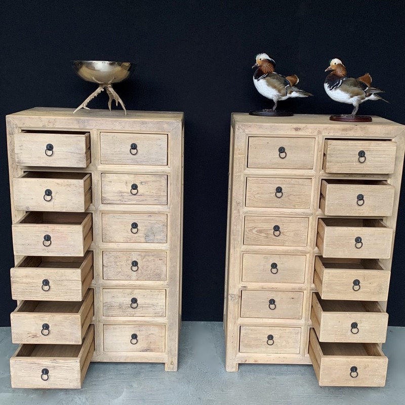 bouwer Watt man KT 158, Cabinet with 12 drawers - Kasten - landelijke meubels, Meubels voor  landelijke inrichting, - De Jong Interieur