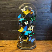 VI 202, Butterly dome with colored butterflies