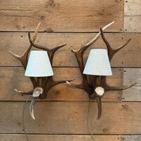 WT 115, Antler wall light